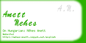 anett mehes business card